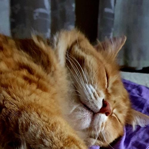 Photo #3464764