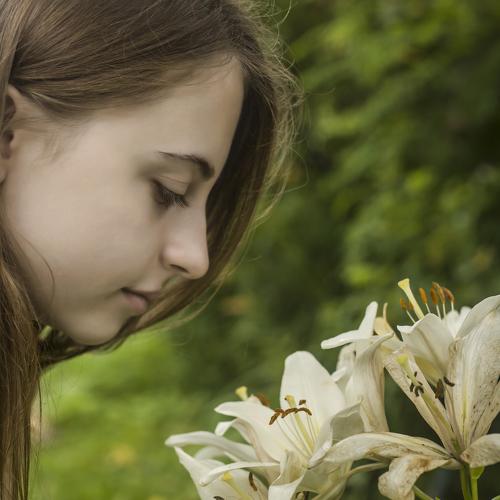 Photo #3465118