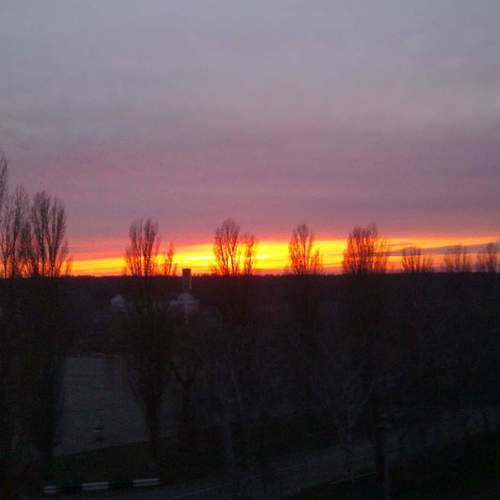 Photo #3466801