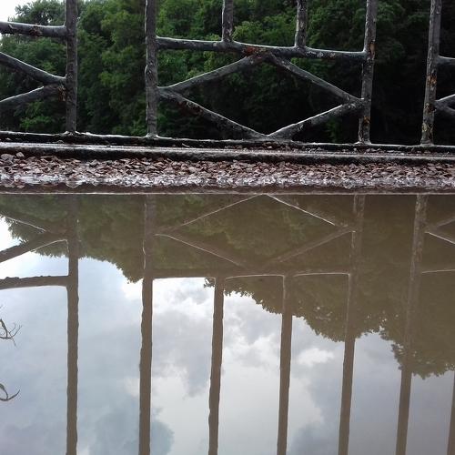 Photo #3467307
