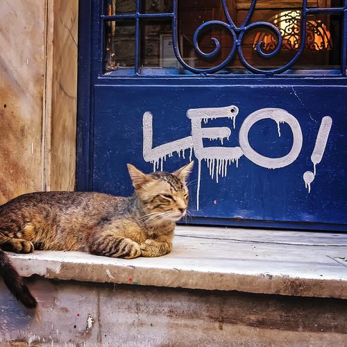 Leo