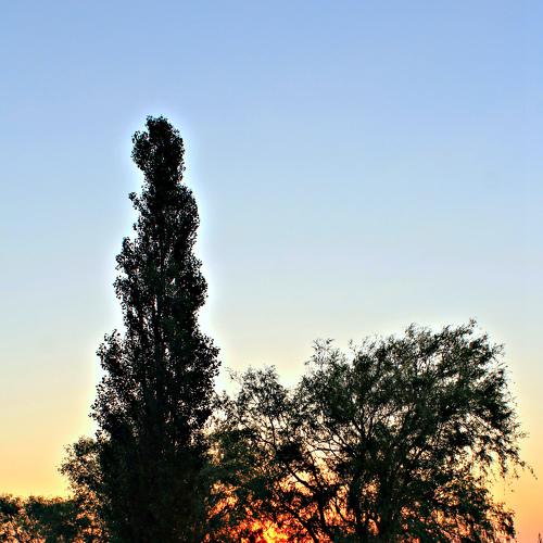 Photo #3467731