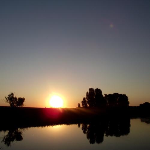 Photo #3467734