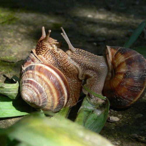 Photo #3468022