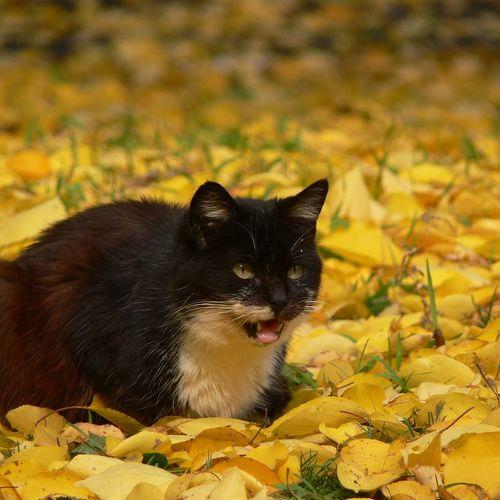 Photo #3468036