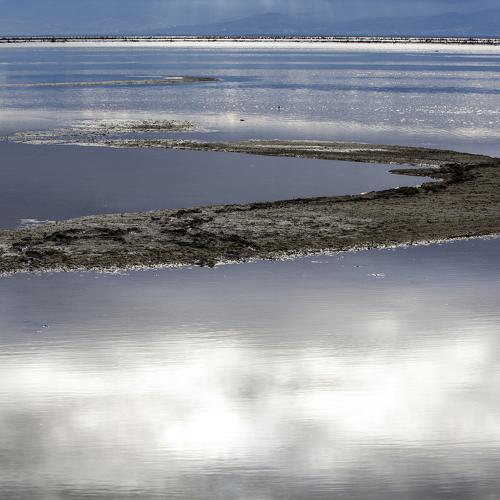 Photo #3468279
