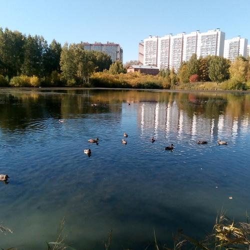 На озере