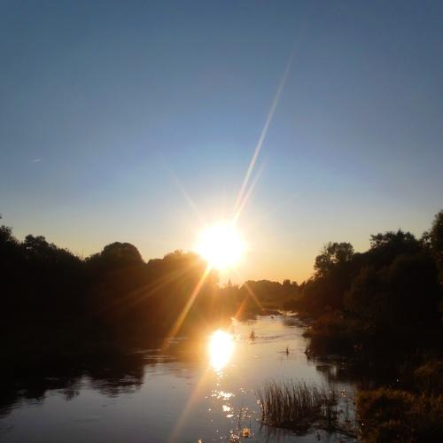 Photo #3468756