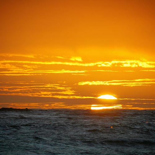 Photo #3469008