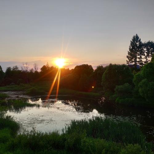Photo #3469516