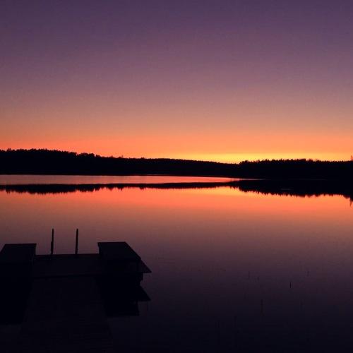 Photo #3469842