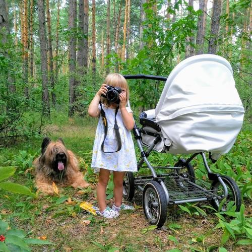 Маленький фотограф