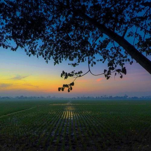 Morning at Cikoneng