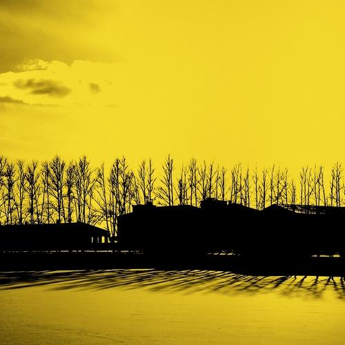 yellow