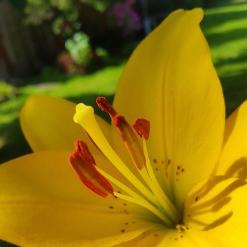 Photo #3472420