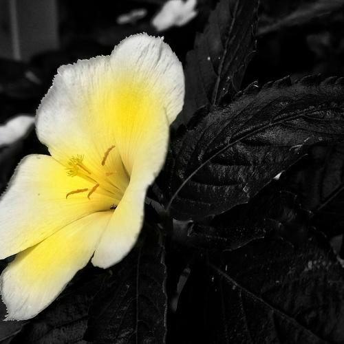 Nature... Glory