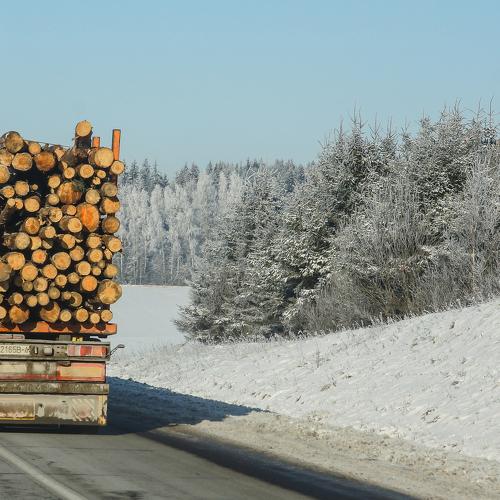 Photo #3472546