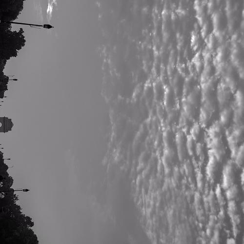 Black & White Art at india gate