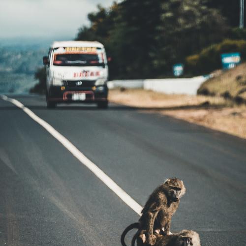 in between the hunt...