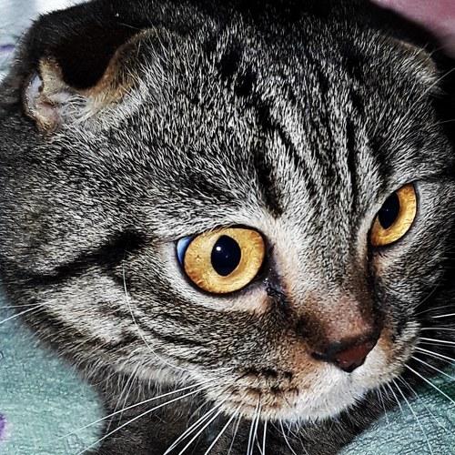Photo #3473608