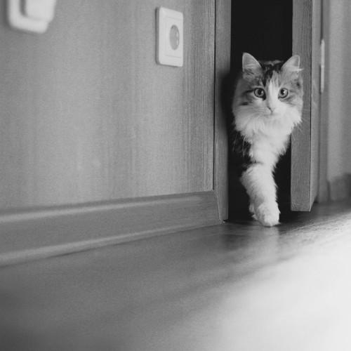Walking out ...