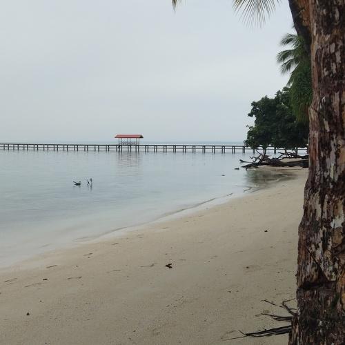 SeaShore