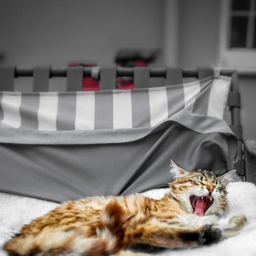 Its been a long day
