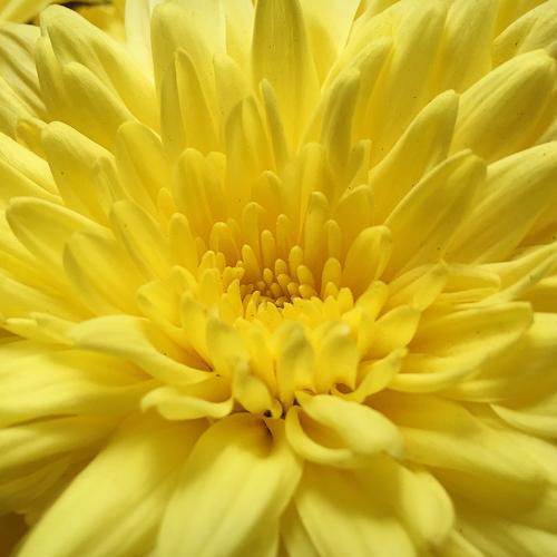 Photo #3475185