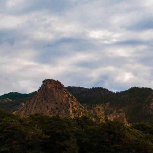 Photo #3477259