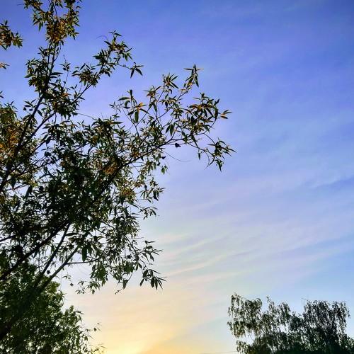 Photo #3477327