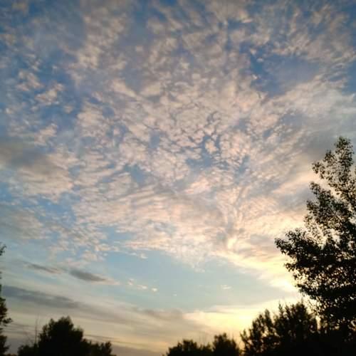 Photo #3477328