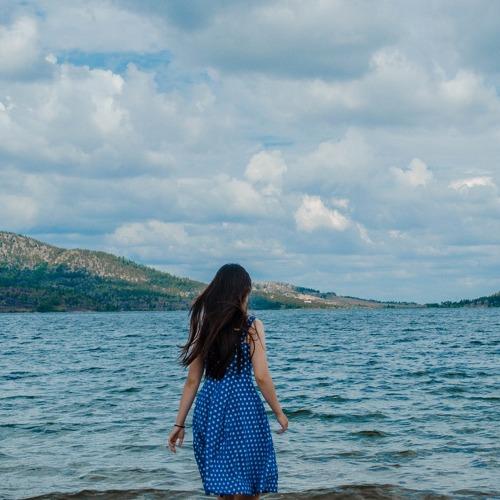 Photo #3477333