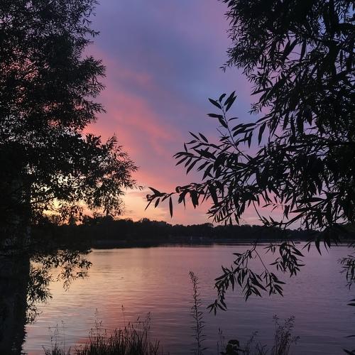 Photo #3477342