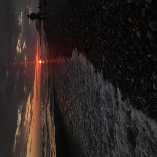 Photo #3477343