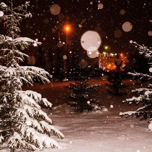 Photo #3477354