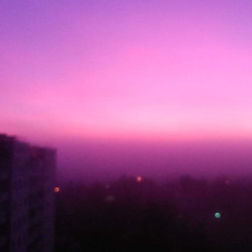 Розовый фламинго