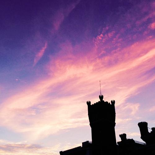 Photo #3477596