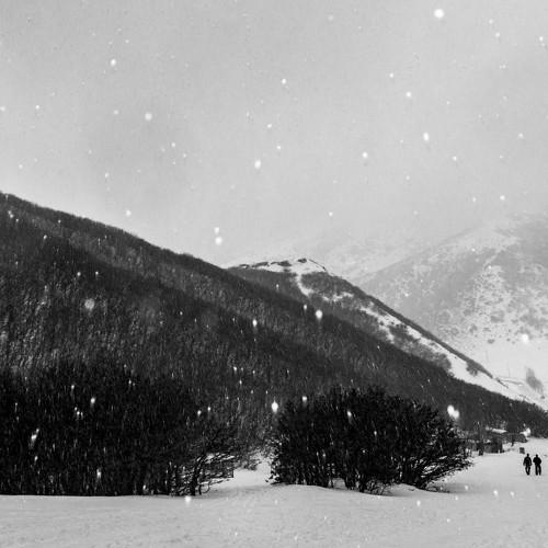 Snowy Day