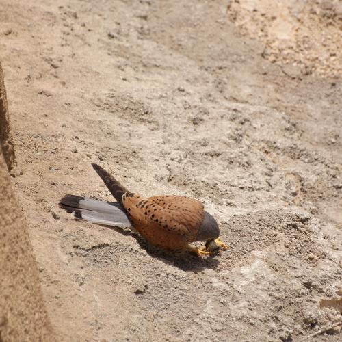 Photo #3478611