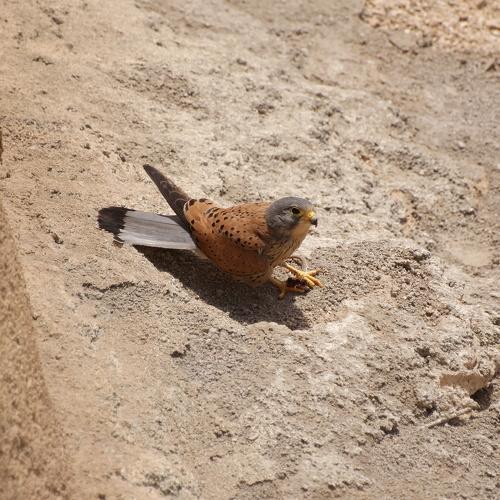 Photo #3478614