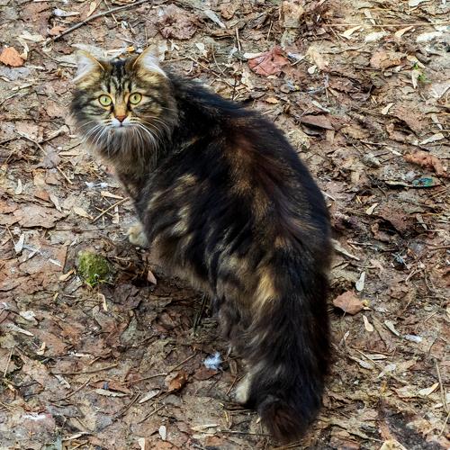 Photo #3479069