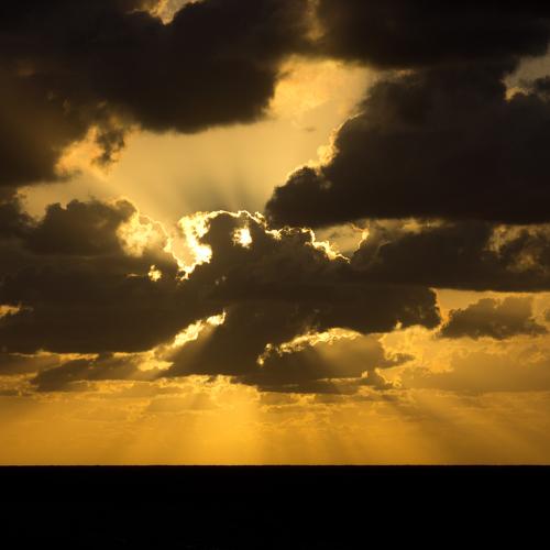 Photo #3480203
