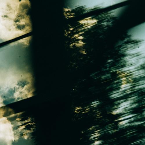 Photo #3480926