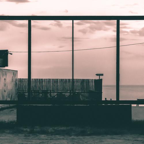 Photo #3481054