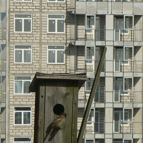 дом сдан  с новосельем.!.