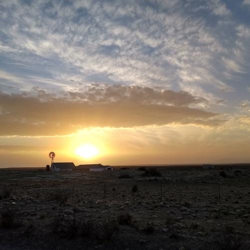 Karoo Farm