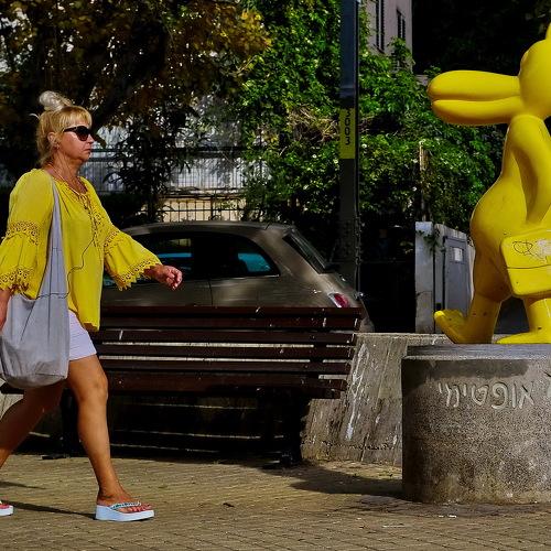 Photo #3487106