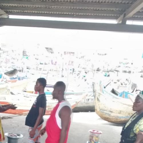 Fish Market