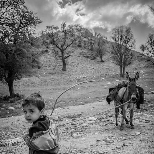 boy vs donkey