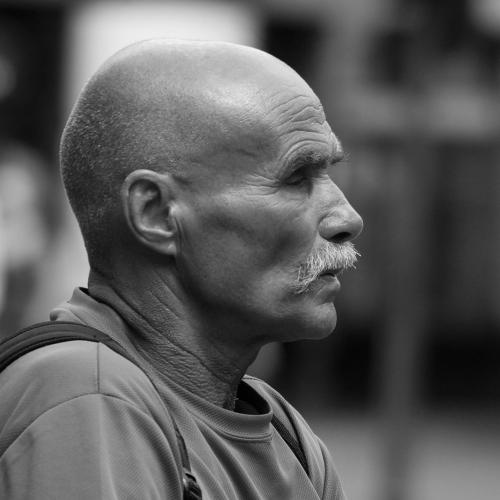 Photo #3489228